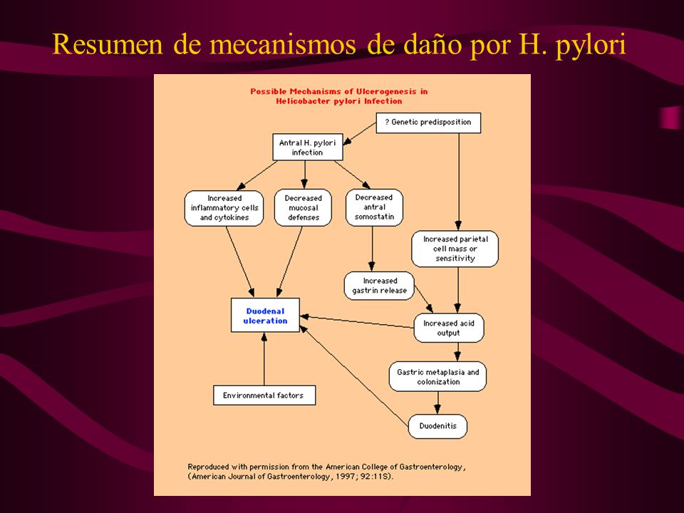 Dieta da h pylori Dieta da h pylori